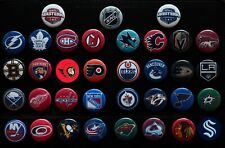 NHL Team Past & Present - Individual 1 1/2 Inch Magnets - Choose From List picture