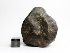 NWA x Meteorite 142.32g Fabulously Flightmarked Firestone From Space picture