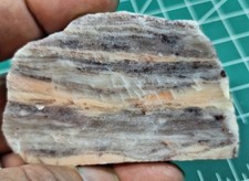 Rare Michigan Kona Dolomite – Fossil Algae Rock – Found Nowhere Else on Earth picture