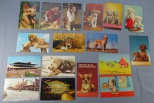 LOT of 17 DOG POSTCARDS 1940s - 50s RACING Bassett St. Bernard Chiuahua Puppy ++ picture