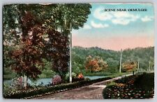 Okmulgee, Oklahoma OK - Beautiful Scene Near in Okmulgee Park - Vintage Postcard picture