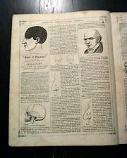 Rare PHRENOLOGY Science BRAIN Skull Functions - Civil War Era 1865 Newspaper picture
