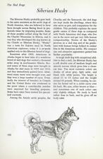 The Siberian Husky - CUSTOM MATTED - Vintage Dog Art Print - Matted 