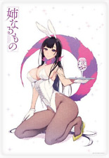 Ane Naru Mono The Elder Sister Like One Chiyo Event Limited Blanket 100x70cm C95 picture