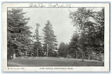 c1905's Pine Knoll Scene Sheffield Massachusetts MA Unposted Vintage Postcard picture