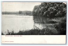 Hartland Wisconsin WI Postcard Beaver Lake Scenic View Trees Grass 1907 Antique picture
