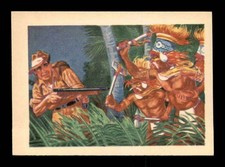 1956 Gum Inc. Adventure #75 Famed for Their Mimicry    NM+ X3063790 picture
