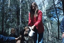 Woman Holding Mountain Dog While Hiking in Forest 1973 Vintage 35mm Slide picture