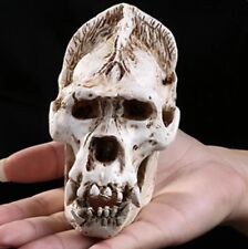 Gorilla Skull Resin Craft Skeleton (small) picture