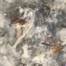 Cordylite & Lavenite Crystal Micro DeMix-Varennes Qry Quebec CANADA picture