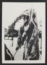 Carcass of Sea Monster Pacific Ocean 1993 Monsters & Mysteries Card #16 (NM) picture