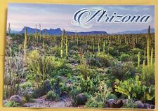  Postcard AZ: Saguaro National Park (cactuses). Tucson. Arizona  picture