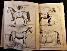 1771 THE NEW PERFECT MARSHAL BY GARSAULT - Horse Diseases, Cure and Equestrian picture