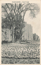 c1940s Parkchester Center Tulip Time The Bronx NY P403 picture