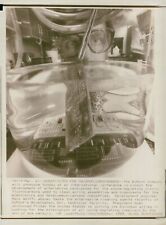 Greenhouse effect - Vintage Photograph 1540343 picture