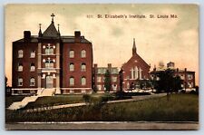 Postcard MO St Louis View St Elizabeth Institute Insane Asylum Adolf Selige F7 picture