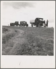 Photo, 1930's Drought refugee families from Oklahoma on road Rosewell 57591878 picture