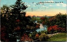 1913 View On The Cocheco River Dover New Hampshire NH Posted Antique Postcard picture