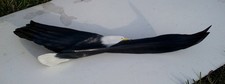Bald Eagle hand painted palm frond-original carved wall mount-beach decor picture