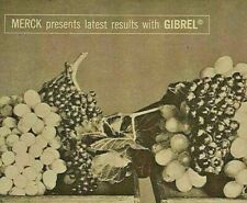 Vintage Print Ad Gibrel Plant Growth Spray Merck & Co. Magazine Ad '58 Stimulant picture