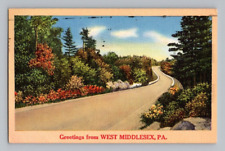 1940'S. GREETINGS FROM WEST MIDDLESEX, PA. POSTCARD. JB5 picture