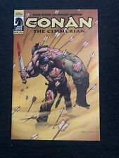 Conan The Cimmerian #19 Dark Horse 100 Special Edition RARE COLOR VARIANT /1000 picture