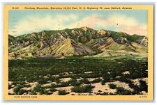 1952 Graham Mountain Altitude Sea Level Safford Arizona AZ Posted Trees Postcard picture