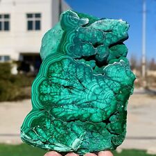 308G Natural glossy Malachite transparent Crystal mineral sample healing picture