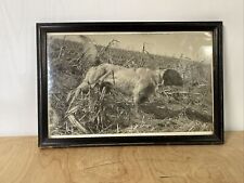 Antique Framed Photo-Hunting Dog in Field-Pointer-Vintage Photography-Hunting #2 picture