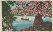 Mountain Lake 4,500 ft Sea-Level Allegant Mountains Of VA Linen Vintage Postcard picture