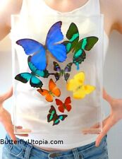 Real 3D Framed Butterflies: Butterfly Art - Acrylic Frame - includes Blue Morpho picture