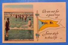 We're Out for a Good Time at WAITE, MAINE Vintage Postcard Beach Scene picture