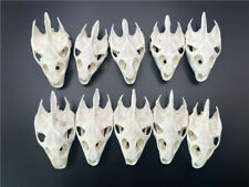 10 pcs Real Animal Skulls/ Real Animal Exfoliate Specimen/ Real Bone Decoration picture