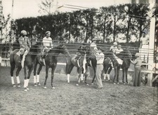 1937 Australia Horseback Riders Training Outdoor Arena Photo 5X7 picture
