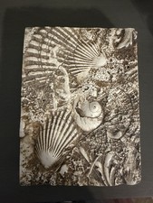 Sid Dickens Memory Block Tile T-176 MOON SHELL Retired picture
