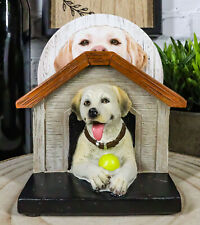 Cute Golden Retriever Puppy Dog In Doghouse Coaster Set Holder And 4 Coasters picture