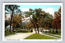 Dallas TX-Texas, City Park, Antique, Vintage Souvenir Postcard picture