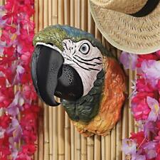 Taste of the Tropics Bird Macaw Parrot Head Tiki Bar Tropical Wall Sculpture picture