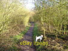 Photo 6x4 Dried up Donisthorpe In 1918 the Ashby Canal broke its banks at c2007 picture