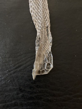 32-1/2” Eastern Garter Snake Shed Skin. picture