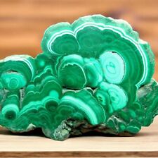 HIGH QUALITY 3 1/2 INCH MALACHITE SLAB ZAIRE AFRICA 92 GRAMS picture