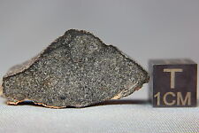 NWA 8670 CK6 Meteorite 11.8 gram main mass picture