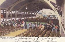  Postcard On the Steel Pier Atlantic City NJ  picture
