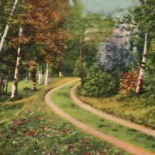Vintage Linen Postcard Memory Trail Poem Old Dirt Mountain Road Forest Trees picture
