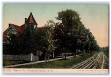 c1910's Pleasant Street Dirt Road House Livingston New York NY Antique Postcard picture