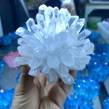 New Find white Phantom Quartz Crystal Cluster Mineral Specimen Healing 300g+ 1pc picture