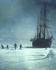 Endurance Ship 8X10 Photo Picture Sir Ernest Shackleton South Pole Antarctic #8 picture