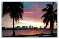 Miami, FL Florida, Sunset Over Miami, Vintage Chrome Postcard  picture