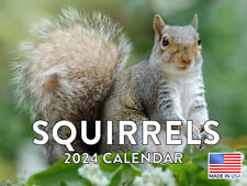 Squirrel 2024 Wall Calendar picture