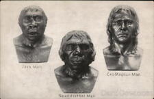 Java Man,Neanderthal Man,Cro-Magnum Man Chicago Natural History Mueum Postcard picture
